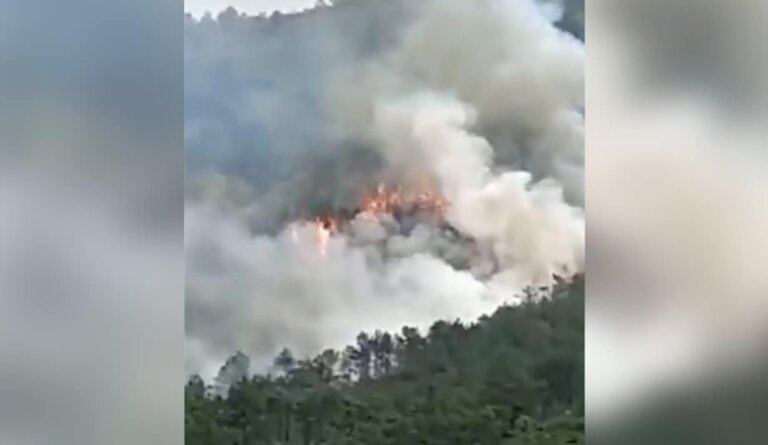 චීනයේදී 132ක් සමඟ යානයක් කඩාවැටෙයි චීනයේදී 132ක් සමඟ යානයක් කඩාවැටෙයි