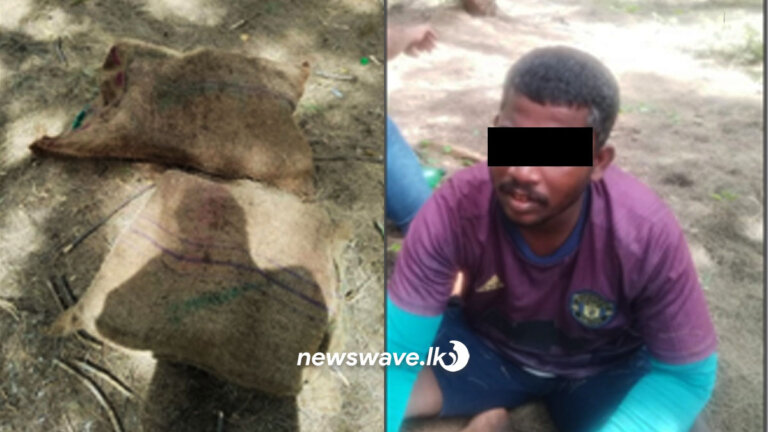 කෝටියක කේරළ ගංජා සමඟ පුද්ගලයෙක් අත්අඩංගුවට