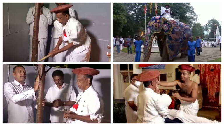 මහනුවර ඇසළ පෙරහරේ කප් කැපීම හා වැඩම කිරීම අලුත්නුවරදී