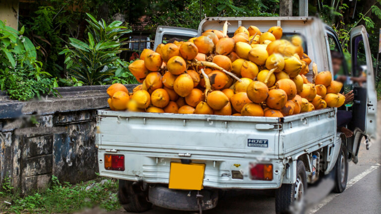 තැඹිලි ලොරියට එල්ලවූ වෙඩි ප්‍රහාරයකින් අයෙක් මරුට