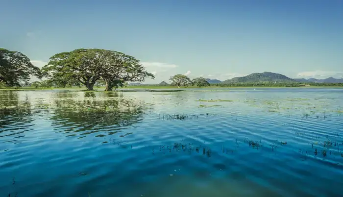 රටපුරා වැව් පන්සියයක් ප්රතිසංස්කරණය අරඹයි රටපුරා වැව් පන්සියයක් ප්රතිසංස්කරණය අරඹයි