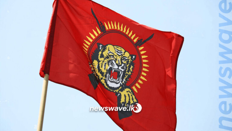 වල්ලිපුරම්වලින් කොටි කොඩියක් මතුවේ වල්ලිපුරම්වලින් කොටි කොඩියක් මතුවේ