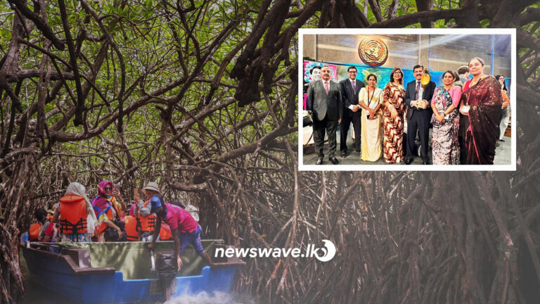 කඩොලාන පරිසර පද්ධතිය රකින්න ගත් උත්සාහයට ශ්රී ලංකාව ජගත් සම්මානයෙන් පිදුම් ලබයි කඩොලාන පරිසර පද්ධතිය රකින්න ගත් උත්සාහයට ශ්රී ලංකාව ජගත් සම්මානයෙන් පිදුම් ලබයි