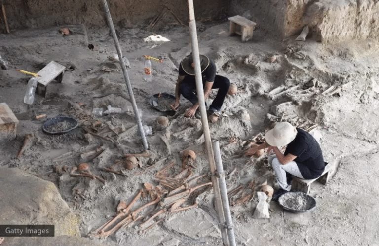 මුලතිව් සමූහ මිනීවලෙන් සිරුරු 37ක අස්ථි හමුවෙලා මුලතිව් සමූහ මිනීවලෙන් සිරුරු 37ක අස්ථි හමුවෙලා