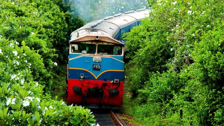 උතුරු දුම්රිය මාර්ගයේ කොටසක් අද සිට වැසේ