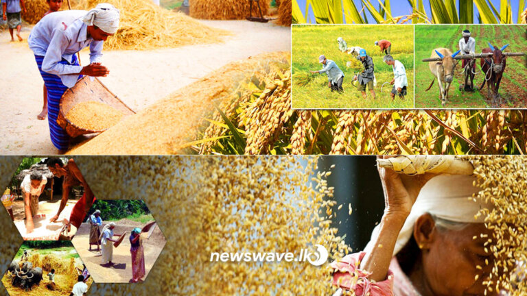 පාඩුයි කිය කිය තිබූ රාජ්‍ය ව්‍යාපාර දැන් ලාබ පෙන්වයි