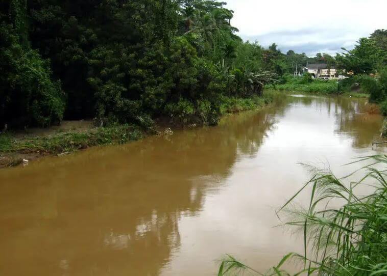 පිඟා ඔයට මළ අපද්රව්ය බැහැර කරන ව්යාපාරිකයන්ට නඩු පිඟා ඔයට මළ අපද්රව්ය බැහැර කරන ව්යාපාරිකයන්ට නඩු