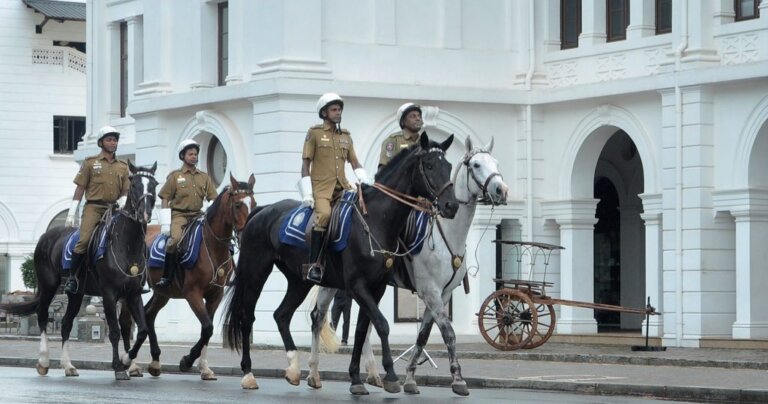 නව වසර ලබනකොටම පොලිස් අශ්වයෙක් ලේ ගිහින්  මැරිලා