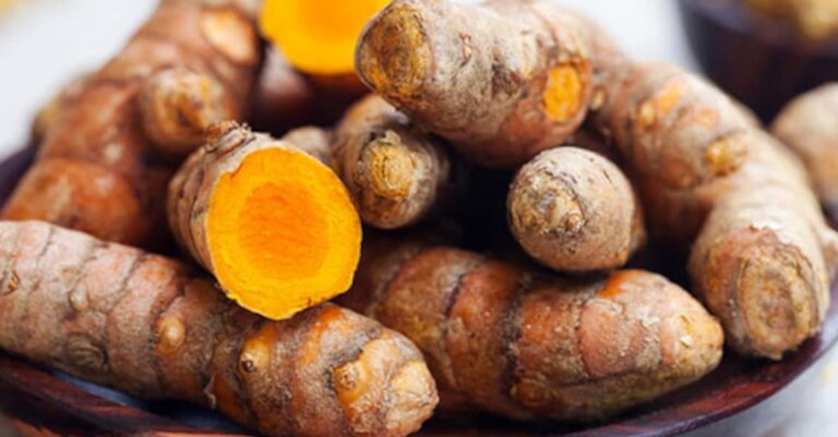 අමු කහ කිලෝ ලක්ෂයක් රජය ගොවීන්ගෙන් මිලට ගනී අමු කහ කිලෝ ලක්ෂයක් රජය ගොවීන්ගෙන් මිලට ගනී