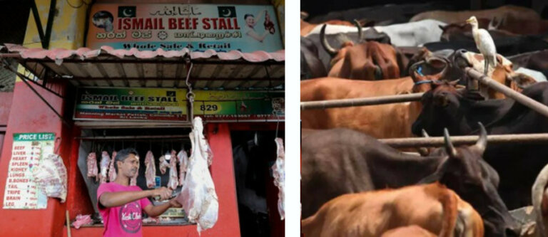 නැඟෙනහිර නගර සභා කිහිපයක ගව ඝාතකාගාර – මස් කඩ සතියක් වැසේ නැඟෙනහිර නගර සභා කිහිපයක ගව ඝාතකාගාර – මස් කඩ සතියක් වැසේ