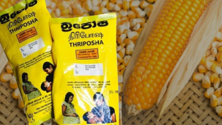 අවුරුද්දක් තිස්සේ ත්රිපෝෂ දීම ඇණහිටලා අවුරුද්දක් තිස්සේ ත්රිපෝෂ දීම ඇණහිටලා