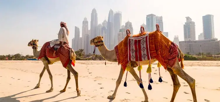 කතර දැවෙයි – UAE උණුසුම 50°C පනී