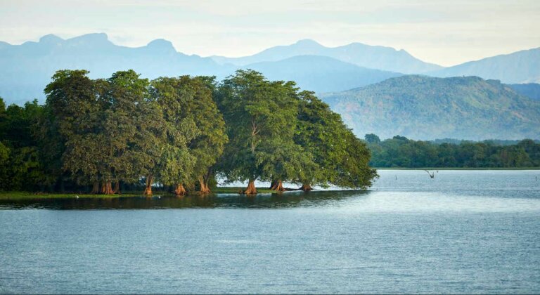 උඩවළවේ ජලය දින 70කට විතරක් ඇති උඩවළවේ ජලය දින 70කට විතරක් ඇති